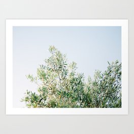 The olive tree | Italy fine art travel photography | Ostuni art Art Print