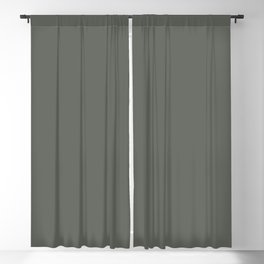 Dark Pine Green Solid Color Pairs w/ Sherwin Williams Haven 2020 Forecast Color Pewter Green SW6208 Blackout Curtain