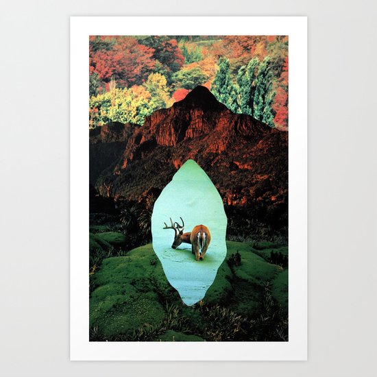 impala Art Print