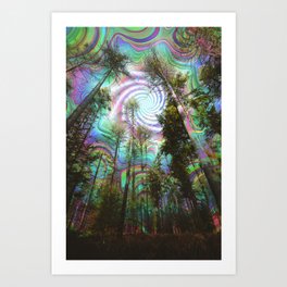 Lights of the Woods Art Print