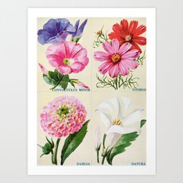 Flowers vintage art Art Print
