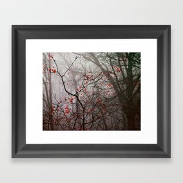 Forest of Red Framed Art Print