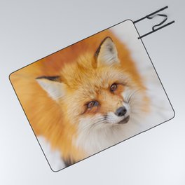 Japanese red fox resting, sleeping and playing in the white snow forest background in Japan Picnic Blanket
