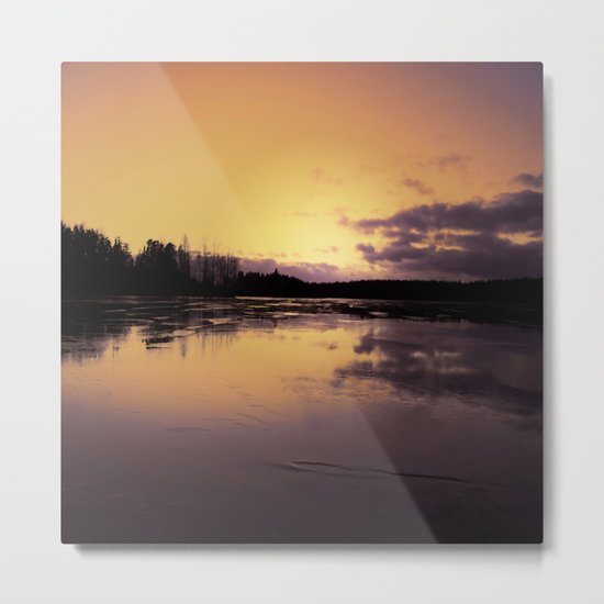The Radiant Beauty of Nature Metal Print