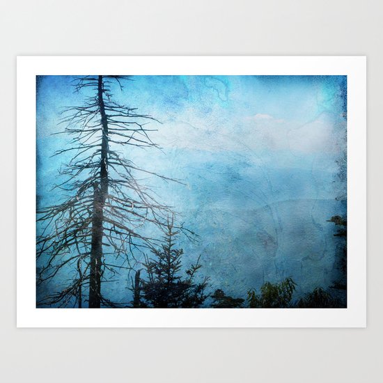Clingman's Dome, Smoky Mountains Tennessee Art Print