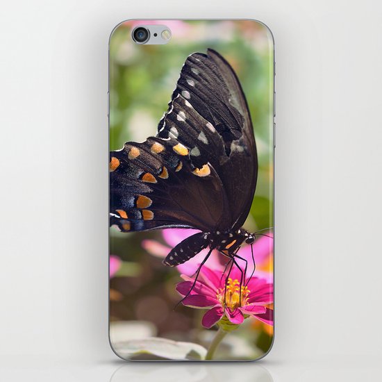 Spicebush Swallowtail iPhone & iPod Skin