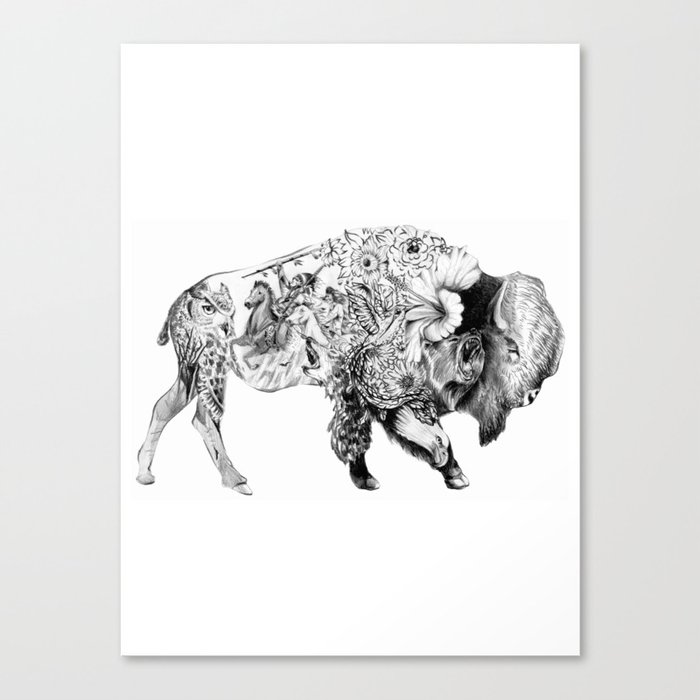 Native Bison Canvas Print