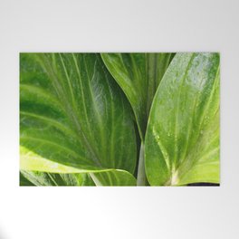 Anthurium Leaves Close Up Photography  Welcome Mat