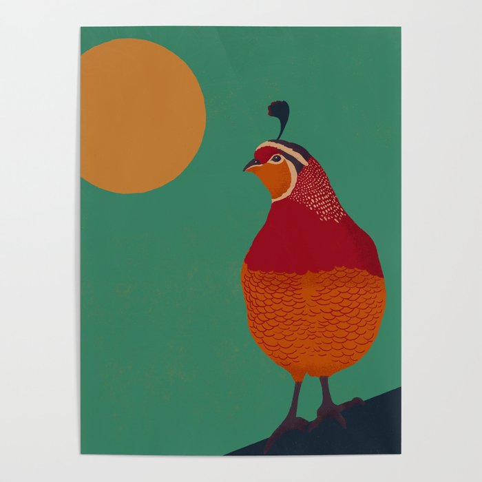 quail Poster