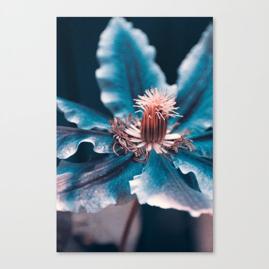 deep blue Canvas Print