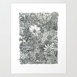 Boxed Flowers Art Print