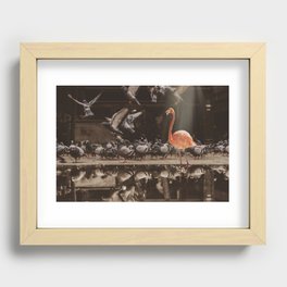 Surrounded by idiots Recessed Framed Print