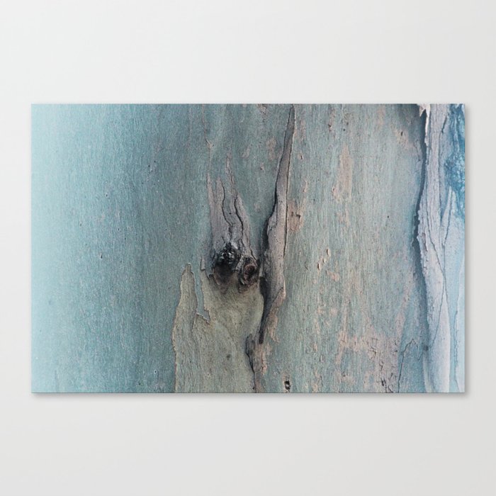 Eucalyptus Tree Bark and Wood Abstract Natural Texture 62 Canvas Print