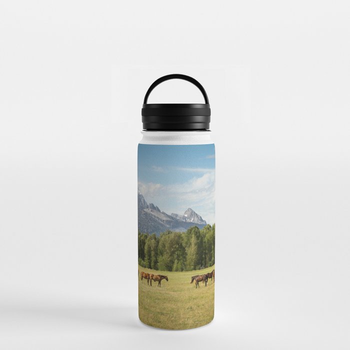 Beautiful Horses, Mountain Landscape Water Bottle
