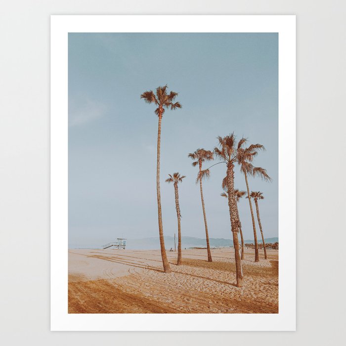 palm trees iii Art Print