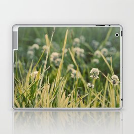 Dusk in the Field Laptop & iPad Skin
