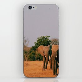 elephants during sunset iPhone Skin