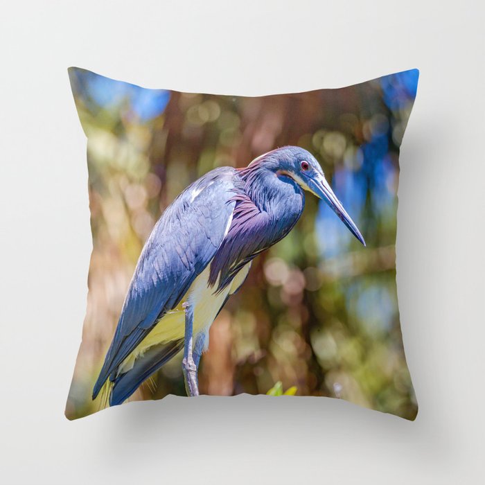 Tricolor Heron  Throw Pillow