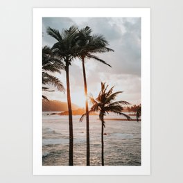 Lovely palmtrees by sunset | Mirissa | Sri Lanka | Photography | Photo Art Print