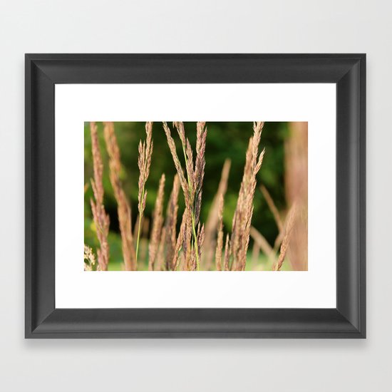 Praire Framed Art Print