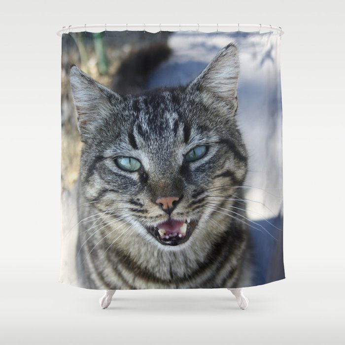 Chatty Cat Chirruping Pet Photography Shower Curtain