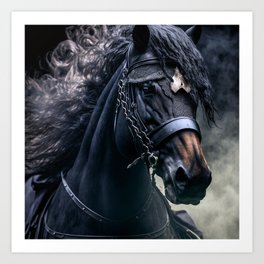 Majestic Black Stallion 3 Art Print