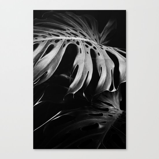 Nature monstera Canvas Print