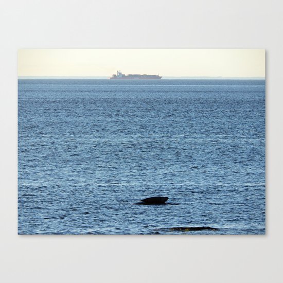 Seal and Ship Canvas Print