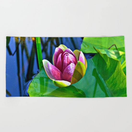 Summery Ode to the WATER LILY Beach Towel