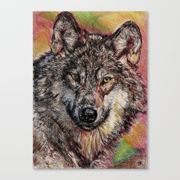 Portrait of a Gray Wolf Canvas Print