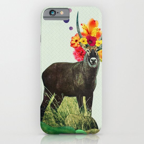 i've been searching for something i've never seen iPhone & iPod Case