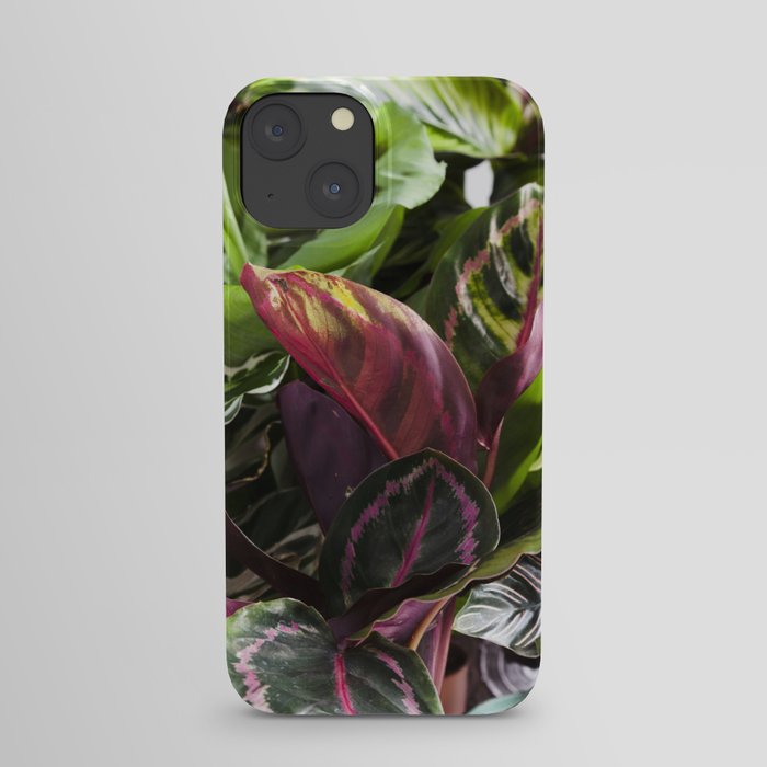 Prayer Plants  |  The Houseplant Collection iPhone Case