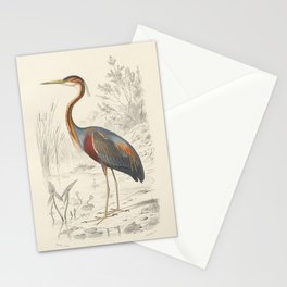 Naturalist Heron Stationery Card