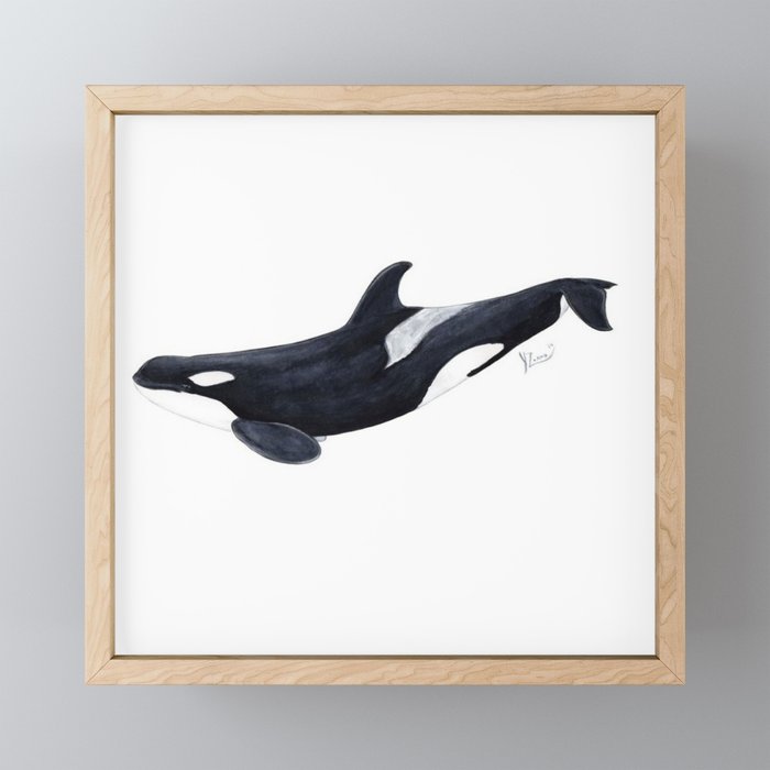 Orca killer whale Framed Mini Art Print