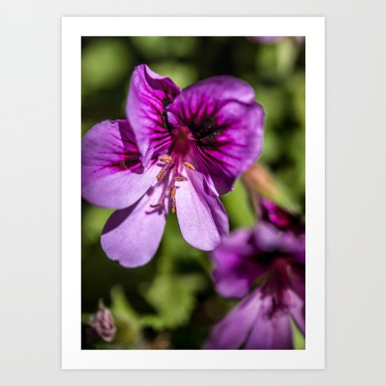Purple and Pretty Art Print