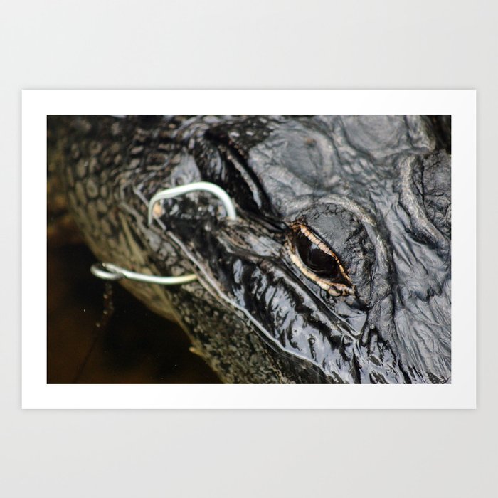 Alligator Hook Art Print
