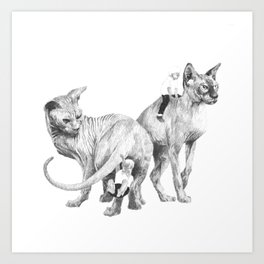 Spynx Cat Art Print