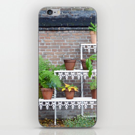 Pots and plants iPhone & iPod Skin