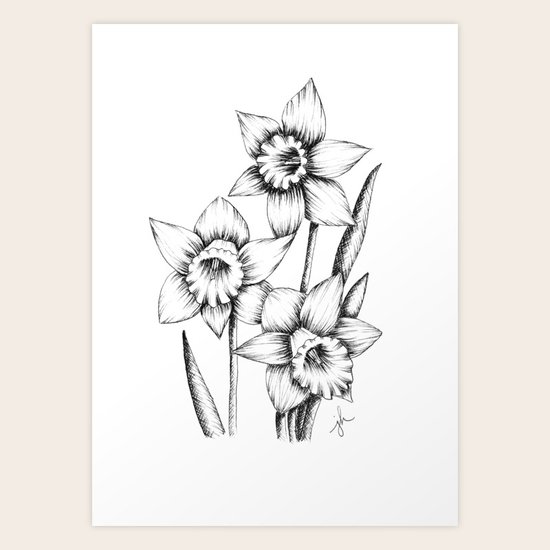 Daffodil Doodle Art Print by Jennifer Hamilton Society6
