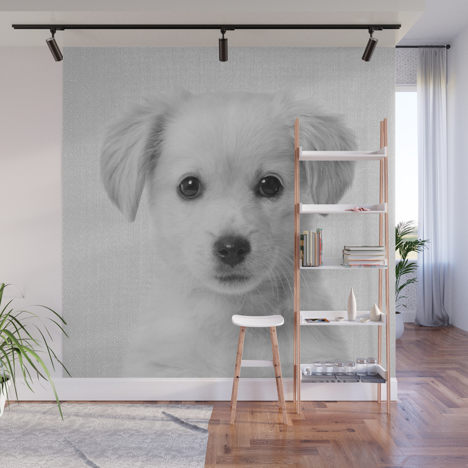Golden Retriever Puppy Black White Wall Mural By Galdesign