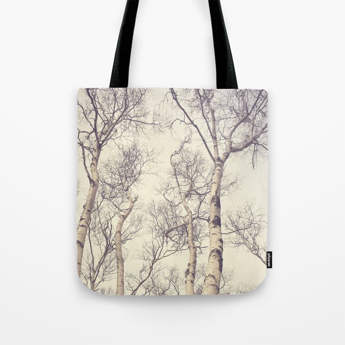 Winter Birch Trees - Scandinavian decor nature photograph Tote Bag