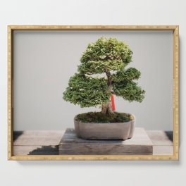 Zen Bonsai Tree Serving Tray