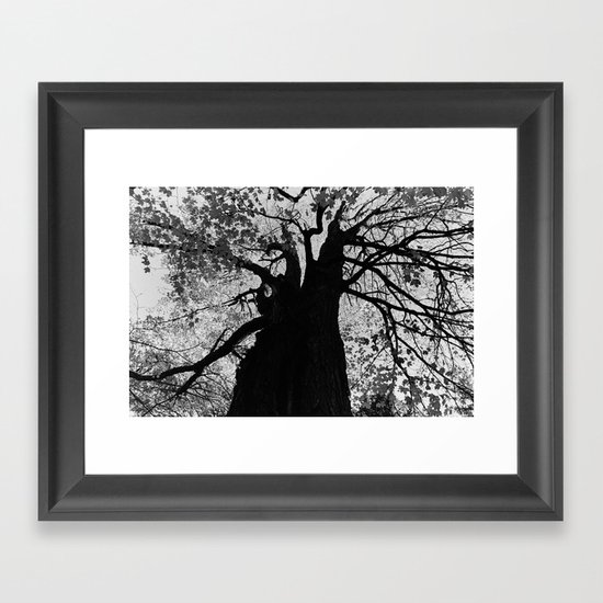 tree 2 Framed Art Print