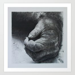 Gorilla Hand Art Print | Markmccune, Drawing, Graphite, Zoo, Gorilla, Chalk Charcoal, Animal 