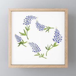Texas Bluebonnets // Texas State Flower Outline Framed Mini Art Print