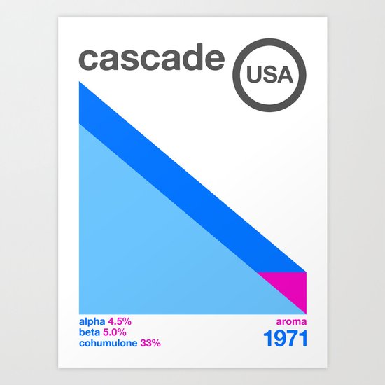 cascade//single hop Art Print