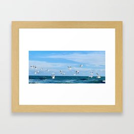 seagulls in flight, blue skies Framed Art Print