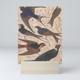 Naturalist Swallows Mini Art Print