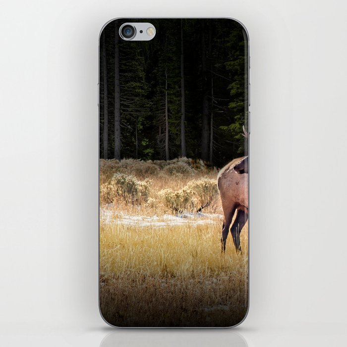 Yellowstone National Park Elk iPhone Skin