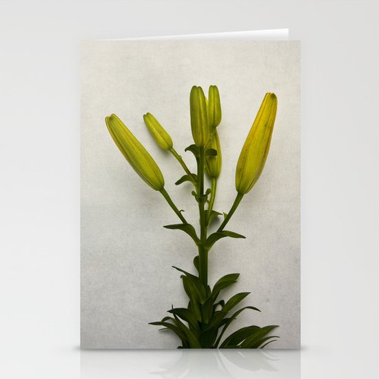 Botanical Lily No. 7733 Stationery Cards